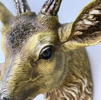 راس غزال جداري