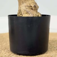 شجر صناعي GRNO