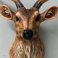 راس غزال جداري