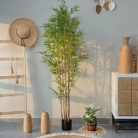 شجرة بامبو BAMBOO