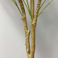 شجرة زيتون صناعية