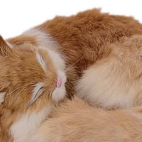 ديكور قطة فرو طبيعي