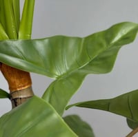 شجر صناعي DIEFFENBACHIA