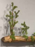 تعليقة زرع صناعي