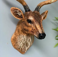 راس غزال جداري