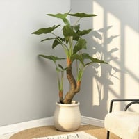 شجر صناعي ALOCASIA