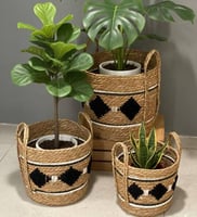 سلال خوص بوهيمي