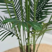 شجر صناعي ARECA