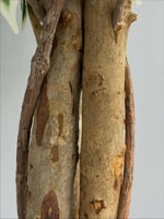 شجر صناعي GRNO