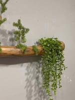 تعليقة زرع صناعي