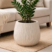 حوض فخار وسط