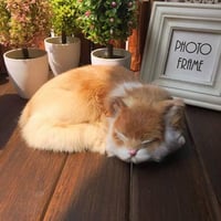 ديكور قطة فرو طبيعي