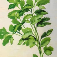 ‎مجموعة براويز جدارية خشب