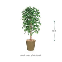 شجر ورق فيكس حوض بلاستيك لون ذهبي *عروض