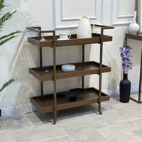 عربية تقديم لون بني