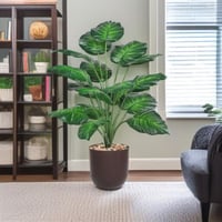 شتلة ورق قلب اخضر 18 ورقة حوض بلاستيك مقاس 85 سم ل...