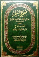 صحيح مسلم بشرح النووي