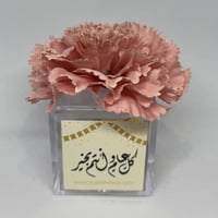 توزيعات