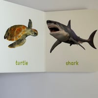 كتاب حيوانات البحر