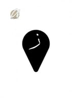 ز