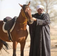 فروه رجاليه بتصميم عصري وفخم-ازياء شتويه-متجر لحظه...