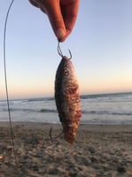 خيط لف الطعوم ٢٥٠ متر