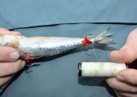 خيط لف الطعوم ٢٥٠ متر