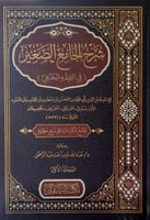 شرح الجامع الصغير في الفقه الحنفي 3/1