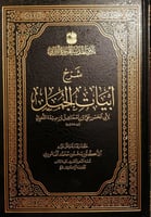 شرح أبيات الجمل لابن سيده