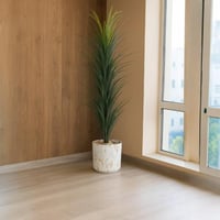 شجر صبار حوض بلاستيك مقاس 170 سم