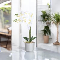 ورد اوركيد 2 فرع صناعي مركن لون فضي *أوتلت