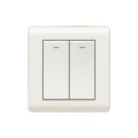 مفتاح مجوز بيج