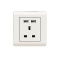 فيش ثلاثي بيج مع 2 USB