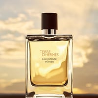 عطر تيري دي هرمس انتنس فتيفر للرجال 100 مل Terre D...