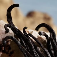 عطر كيو من دولتشي اند غابانا بارفيوم للسيدات 100 م...