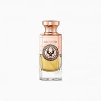 عطر اليكتيموس أوستر 100 مل Electimuss Auster