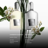 عطر توم فورد جراي فيتيفر ادو بارفيوم بارفيوم 100 م...