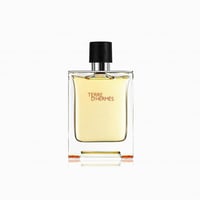 عطر تيري دي هرمس ادو تواليت 100 مل Terre d'Hermès