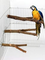 مجثم خشبي طبيعي ملائم للطيور