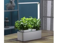 الحديقة الذكية حجم متوسط