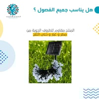 شريط ليد على الطاقة الشمسية ورود