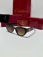 نظارة كارتير