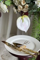 طقم عقد قران