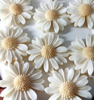 شمعه الاقحوان بدون كرت