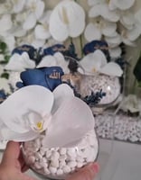 فازة استقبال