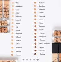 فاونديشن نارس - بنجاب