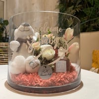 هدية مولود ٢