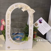 سمك فايتر ٢