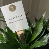 فازا البامبو والسمك الفايتر