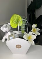 هدية مولود 1